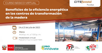  Curso online "Beneficios de la eficiencia energética en los centros de transformación de la madera" 