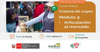 Curso online "Crianza de cuyes Módulo 3: Articulación al mercado" de Agrario Rural