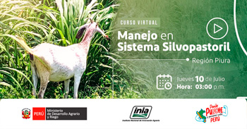  Curso online "Manejo en Sistema Silvopastoril" del INIA