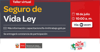  Taller online sobre "Seguro de Vida Ley" del MTPE