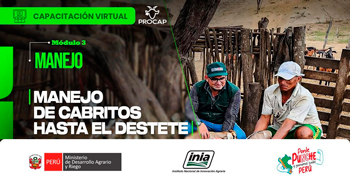  Capacitación online "Manejo de cabritos hasta el destete" del INIA