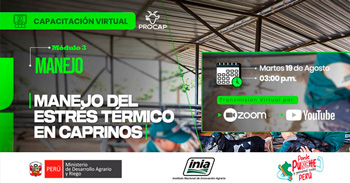  Capacitación online ""Manejo del estrés térmico en caprinos" del INIA