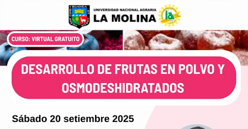 Curso virtual gratuito "Desarrollo de frutas en polvo y osmodeshidratados"  de la UNALM