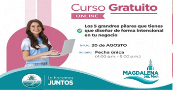  Curso online gratis "Los 5 grandes pilares que tienes que diseñar de forma intencional en tu negocio" 