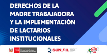  Evento online "Derechos de la madre trabajadora e implementación de lactarios institucionales" 