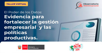  Taller online El Poder de los Datos: Evidencia para fortalecer la gestión empresarial y las políticas productivas