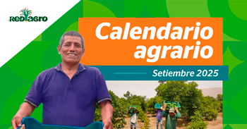 Calendario de eventos agrarios de capacitación y asistencia técnica del MIDAGRI