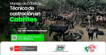 Capacitación presencial  "Manejo de Cabritos: Técnica de castración en cabrito" del INIA
