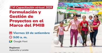 Capacitación virtual "Formulación y Gestión de Proyectos en el Marco del PMIB"