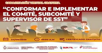 Capacitación online gratis Conformar e implementar el comité, subcomité y supervisor de SST de la GRTPE Lambayeque