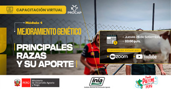 Capacitación online gratis "Principales razas y su aporte" del INIA
