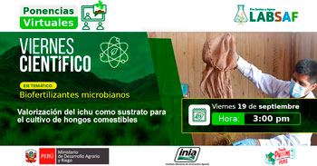 Capacitación online gratis "Valorización del ichu como sustrato para el cultivo de hongos comestibles"  