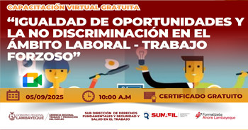  Capacitación online "Igualdad de oportunidades y la no discriminación en el ámbito laboral - Trabajo forzoso"