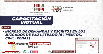 Capacitación online "Ingreso de demandas y escritos en los juzgados de paz letrado (Alimentos, Civil, Penal)" 