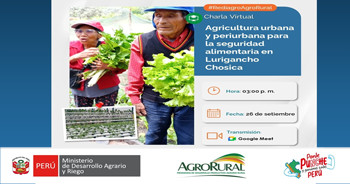 Charla online "Agricultura urbana y periurbana para seguridad alimentaria Lurigancho Chosica" de Agro Rural