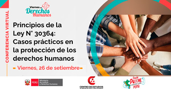 Conferencia online "Principios de la Ley 30364: casos prácticos en derechos humanos" del MINJUSDH