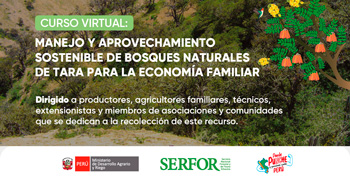 Curso online  Manejo y aprovechamiento sostenible de bosques naturales de tara para la economía familiar e SERFOR