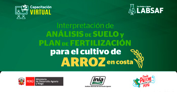  Curso online "Interpretación de análisis de suelo y plan de fertilizacion para el cultivo de arroz en costa"