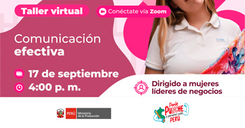 Taller online "Comunicación efectiva" de PRODUCE