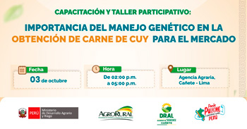 Taller presencial Importancia del mejoramiento genético en la obtención de carne de cuy de calidad para el mercado