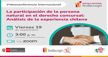 Videoconferencia La participación de la persona natural en el derecho concursal: Análisis de la experiencia chilena 
