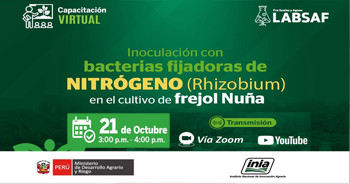 Capacitación "Inoculación con Bacterias Fijadoras de Nitrógeno (Rhizobium) en el cultivo de frejol Nuña" 