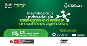 Capacitación online "Identificación molecular de enfermedades en cultivos agrícolas" del INIA