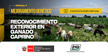 Capacitación online "Reconocimiento exterior en Ganado Caprino" del INIA