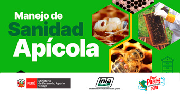 Curso Presencial "Manejo de Sanidad Apícola" del INIA