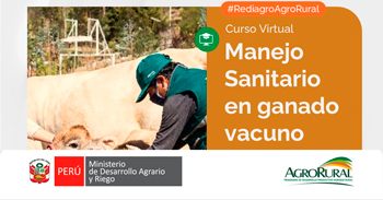 Curso online gratis "Manejo Sanitario en ganado vacuno" de Agro Rural