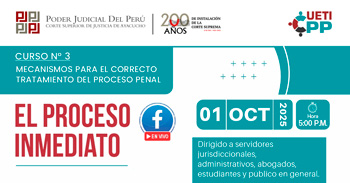 Curso online "El proceso inmediato"  Corte Superior de Justicia de Ayacucho