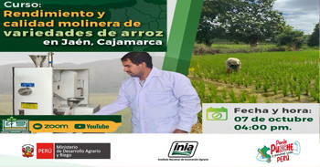 Curso online "Rendimiento y calidad molinera de variedades de arroz en Jaén, Cajamarca." del INIA
