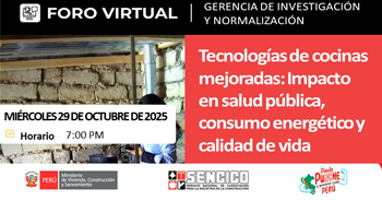 Foro online Tecnologías de cocinas mejoradas: Impacto en salud pública, consumo energético y calidad de vida