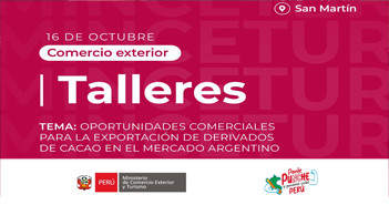 Taller presencial Oportunidades comerciales para la exportación de derivados de cacao en el mercado argentino