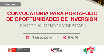Webinar online "Convocatoria Portafolio de Oportunidades de Inversión" de PromPerú