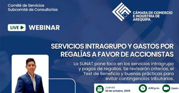 Webinar online "Servicios intragrupo y pagos de regalías a favor de accionistas"