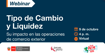 Webinar online "Tipo de Cambio y Liquidez" del PromPerú