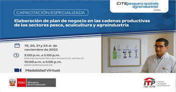 Capacitación "Elaboración de plan de Negocio en las cadenas productivas de los sectores pesca, acuicultura"