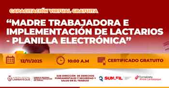  Capacitación online gratis "Madre Trabajadora e Implementación de Lactarios - Planilla Electrónica"