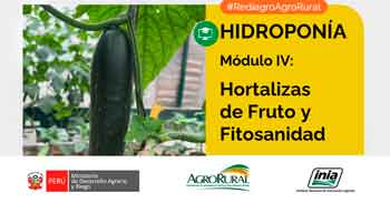 Capacitación  online "Hidroponía: Hortalizas de Fruto y Fitosanidad" del INIA