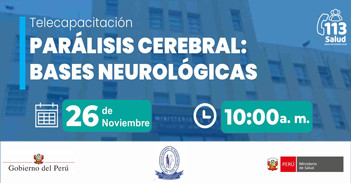 Capacitación online "Parálisis cerebral: Bases neurológicas" del Instituto Nacional de Rehabilitación