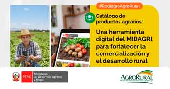 Charla online Catalogo de productos agrarios : Una herramienta digital del MIDAGRI