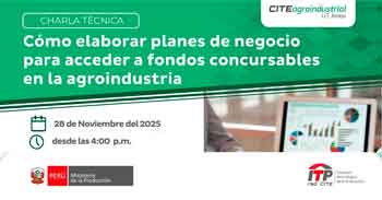  Charla online "Como elaborar planes de negocios para acceder a fondos concursables en la agroindustrias" 