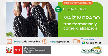 Charla online gratis "Maíz Morado – Transformación y Comercialización" de Agro Rural