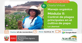 Charla online "Manejo orgánico Módulo II: Control de plagas principales en el cultivo de papa" de Agro Rural