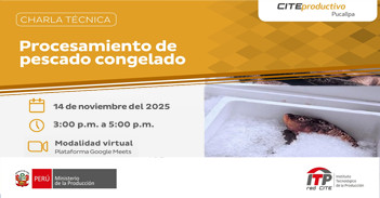  Charla online "Procesamiento de pescado congelado" del CITEproductivo Pucallpa