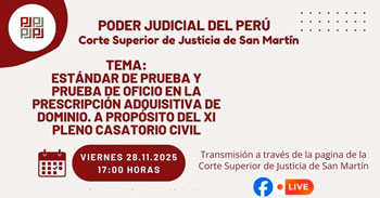 Conferencia online "Estándar de prueba y prueba de oficio en la prescripción adquisitiva de dominio" 