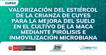 Curso presencial  Valorización del estiércol de la crianza de cuyes para la mejora del suelo en el cultivo de la maca