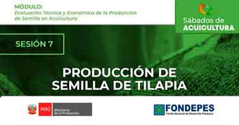 Curso online gratis"Producción de semilla de tilapia (Oreochromis niloticus)"  del FONDEPES
