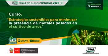 Curso online Estrategias sostenibles para minimizar la presencia de metales pesados en el cultivo de arroz